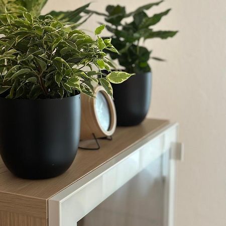 Appartement Elena Linz Ngoại thất bức ảnh