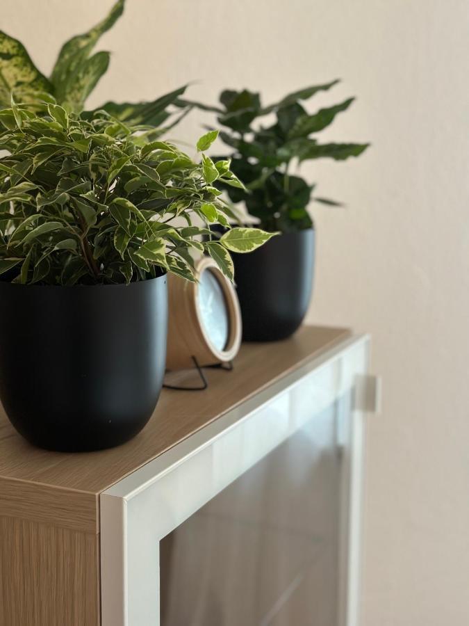 Appartement Elena Linz Ngoại thất bức ảnh